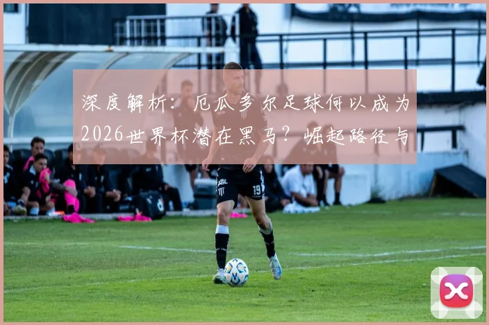 深度解析：厄瓜多尔足球何以成为2026世界杯潜在黑马？崛起路径与阵容展望